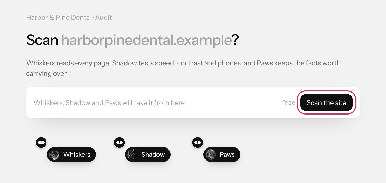 The audit start screen with the Scan the site button
